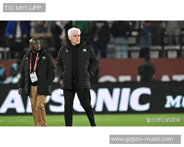 南非主帅布罗斯讲话涉嫌种族主义,南非足协表示支持教练 南非主帅布罗斯讲话涉嫌种族主义,南非足协表示支持教练